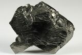Lustrous, High Grade Colombian Shungite - New Find! #190354-1